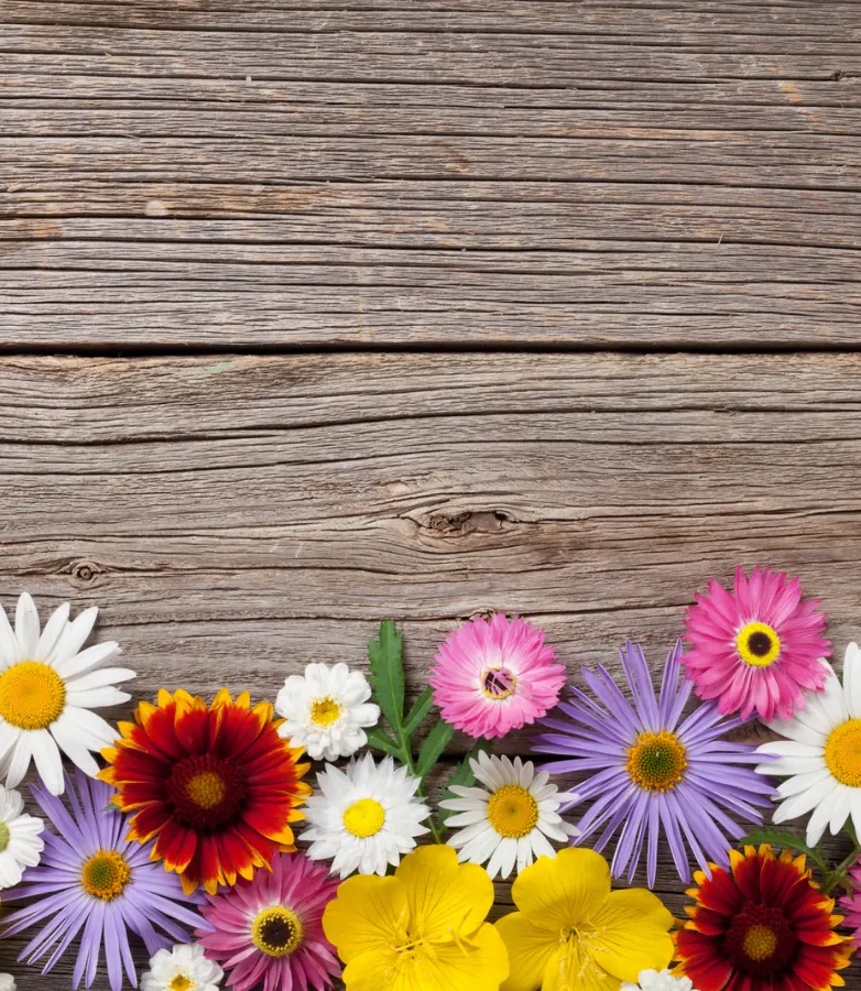 local flower shops near me