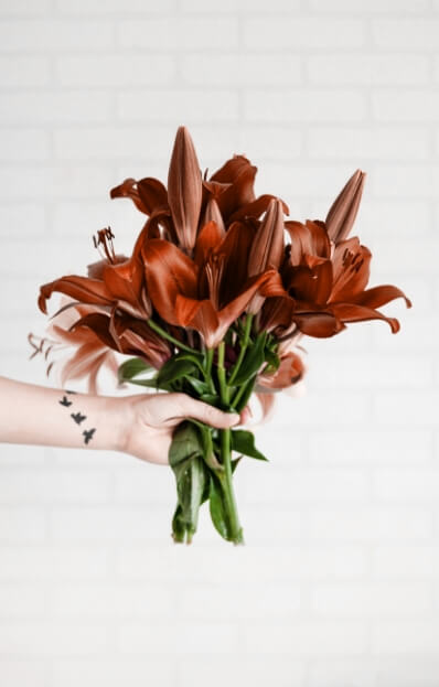 Flower Image