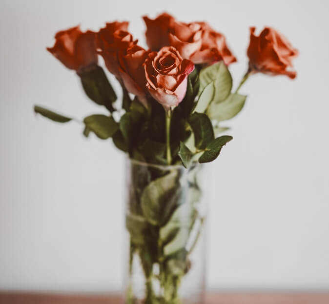 Flower Image