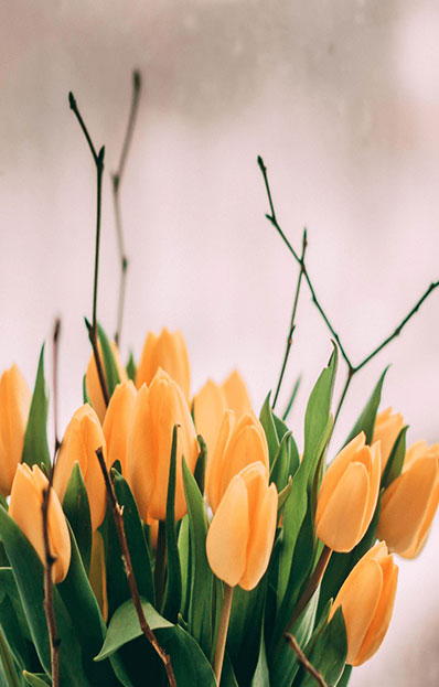 Flower Image