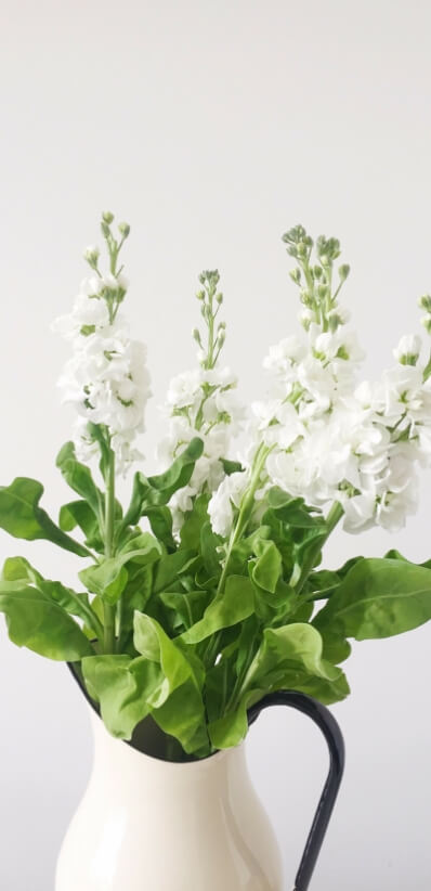 Flower Image
