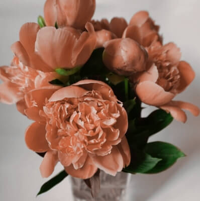 Flower Image