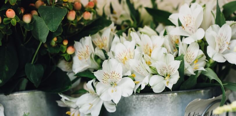 Flower Image