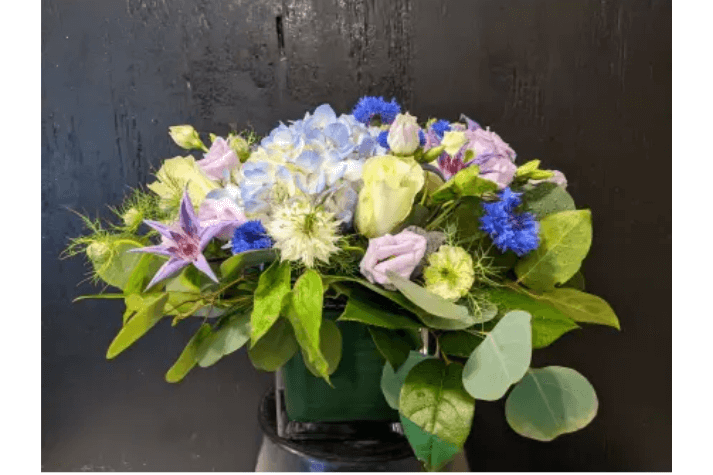Flower Image